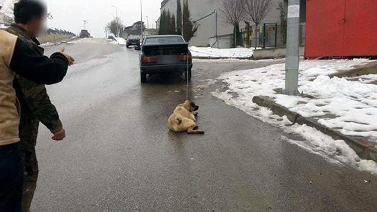 Batıkent'te köpeğe sürüklemeli işkence