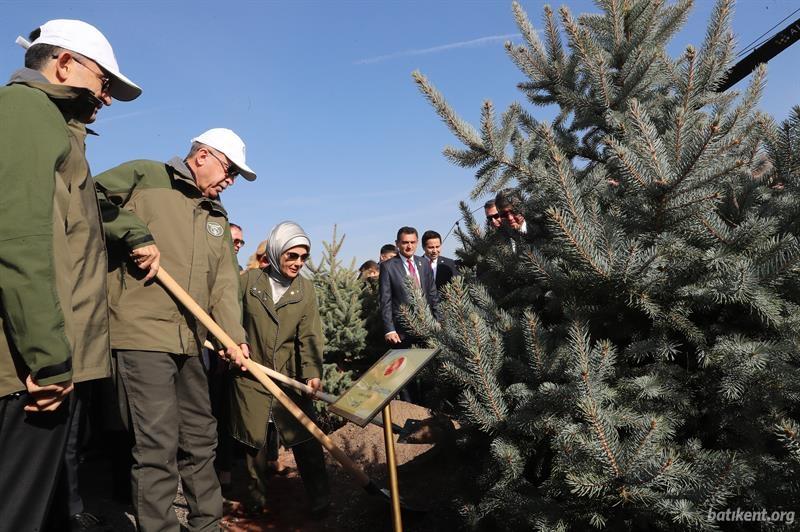 Batıkent Çakırlar'da Ağaç Dikme Etkinliği Gerçekleştirildi.