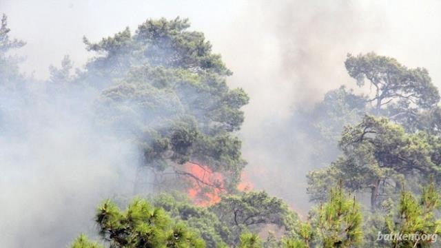 Atatürk Orman Çiftliğinde Orman Yangını
