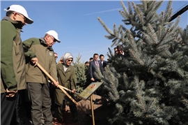 Batıkent Çakırlar'da Ağaç Dikme Etkinliği Gerçekleştirildi.